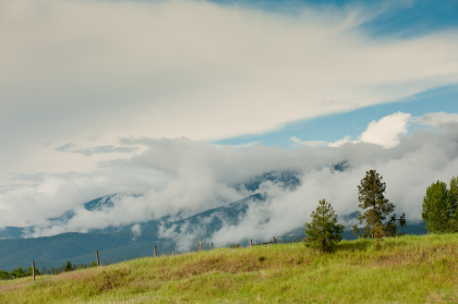 Image of fair-weather cumulus clouds